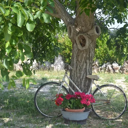 Hébergement de vacances Trulli Della Catena *