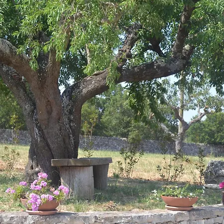 Trulli Della Catena * Martina Franca