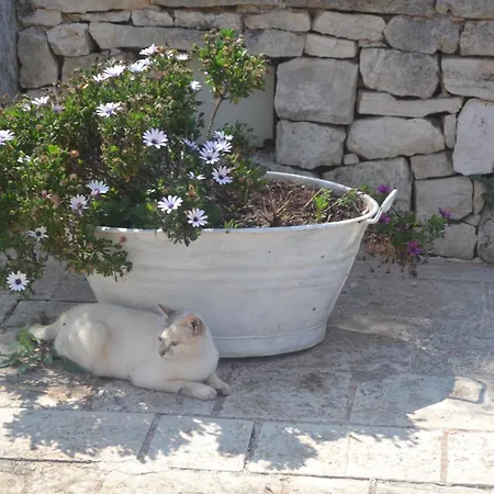 Trulli Della Catena Hébergement de vacances
