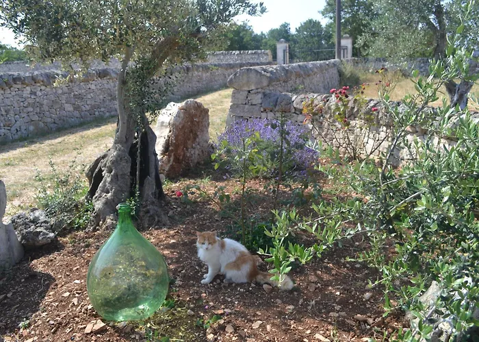 Hébergement de vacances Trulli Della Catena Martina Franca