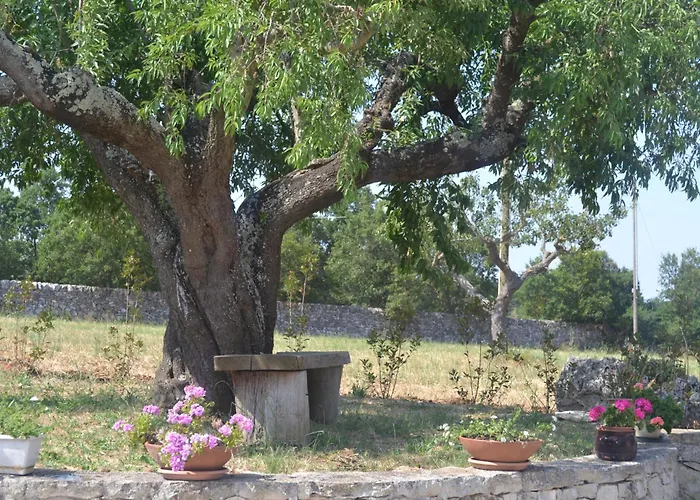 Trulli Della Catena * Martina Franca