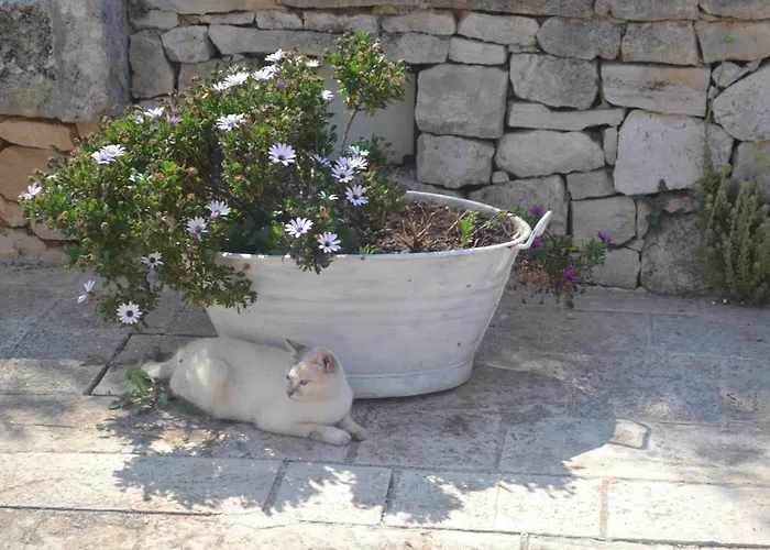 Trulli Della Catena Semesterbostad